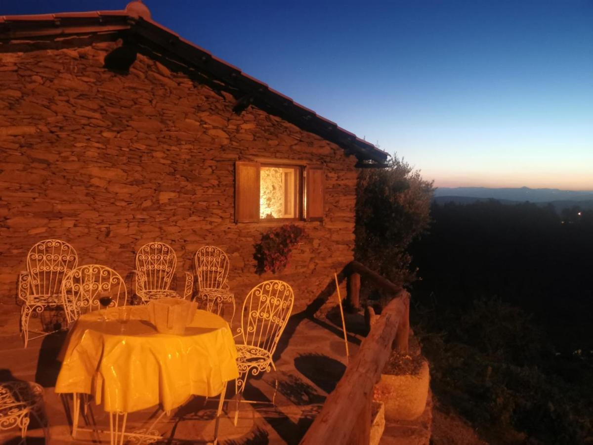 Casa Da Vinha Em Tabuaco - Douro Villa Ngoại thất bức ảnh