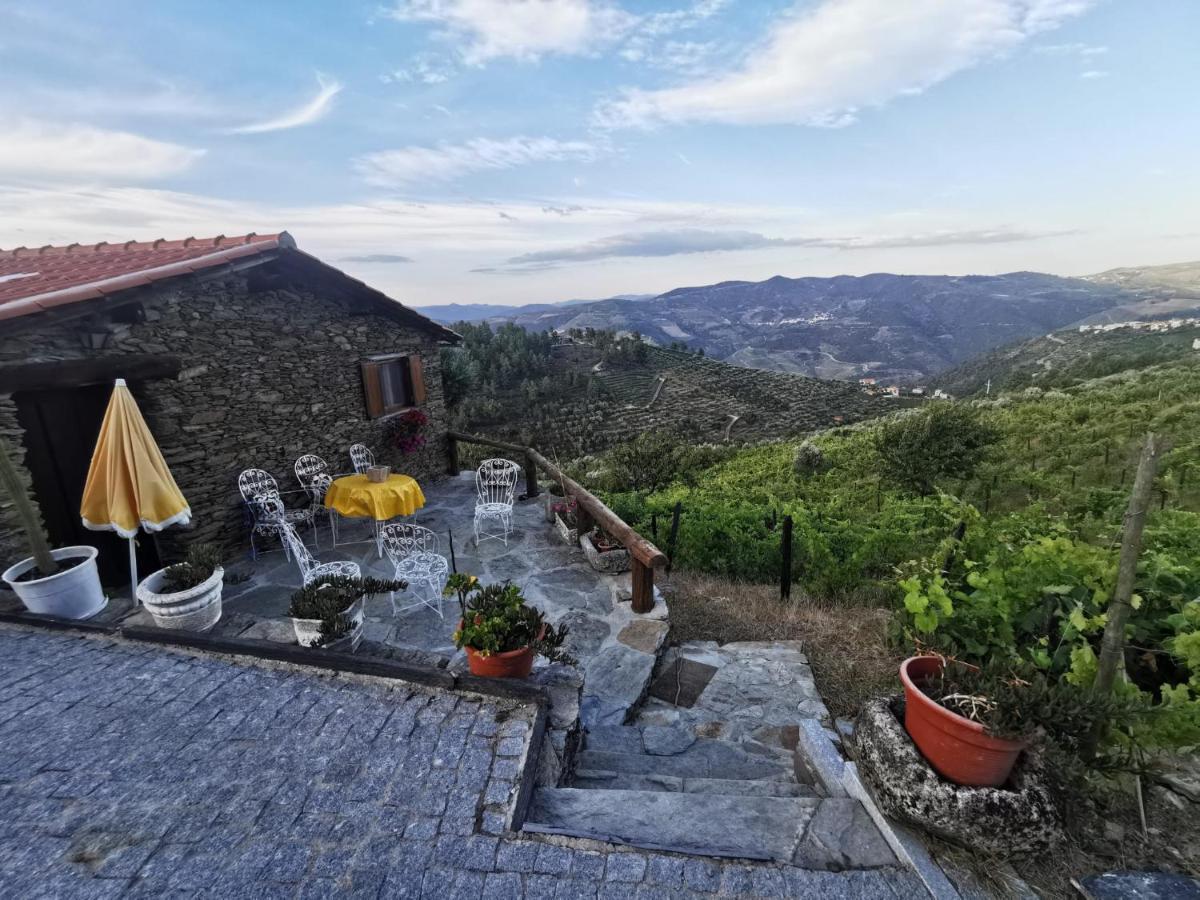Casa Da Vinha Em Tabuaco - Douro Villa Ngoại thất bức ảnh