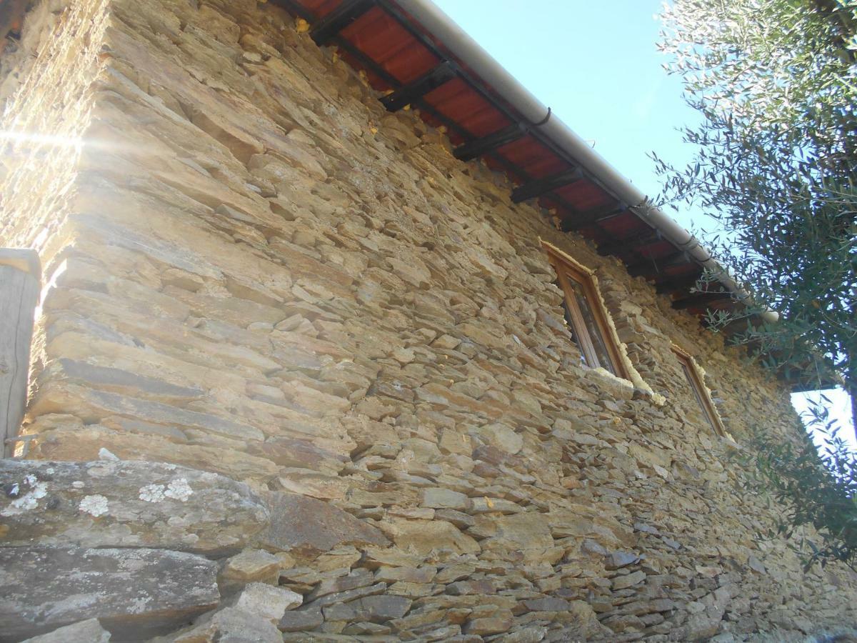 Casa Da Vinha Em Tabuaco - Douro Villa Ngoại thất bức ảnh