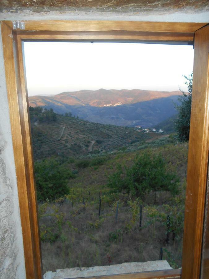 Casa Da Vinha Em Tabuaco - Douro Villa Ngoại thất bức ảnh