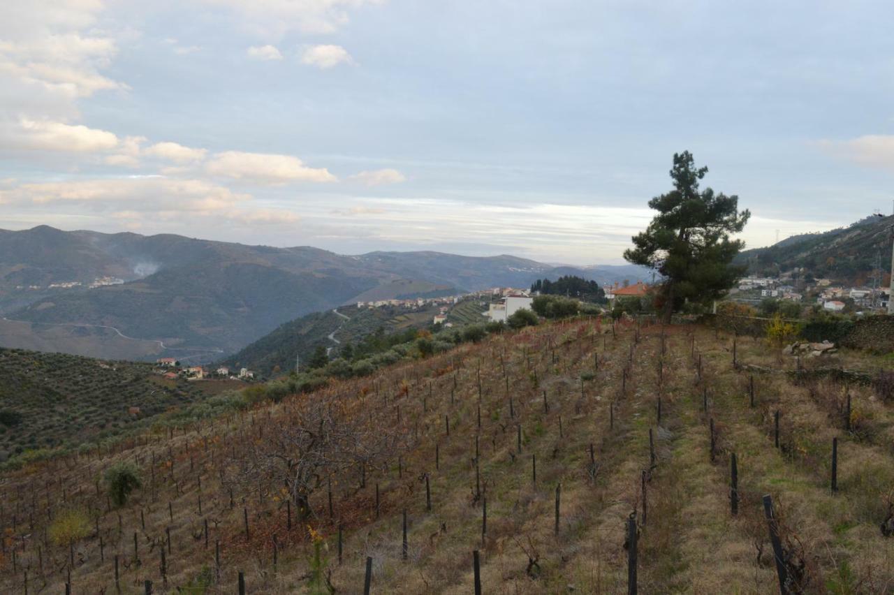 Casa Da Vinha Em Tabuaco - Douro Villa Ngoại thất bức ảnh